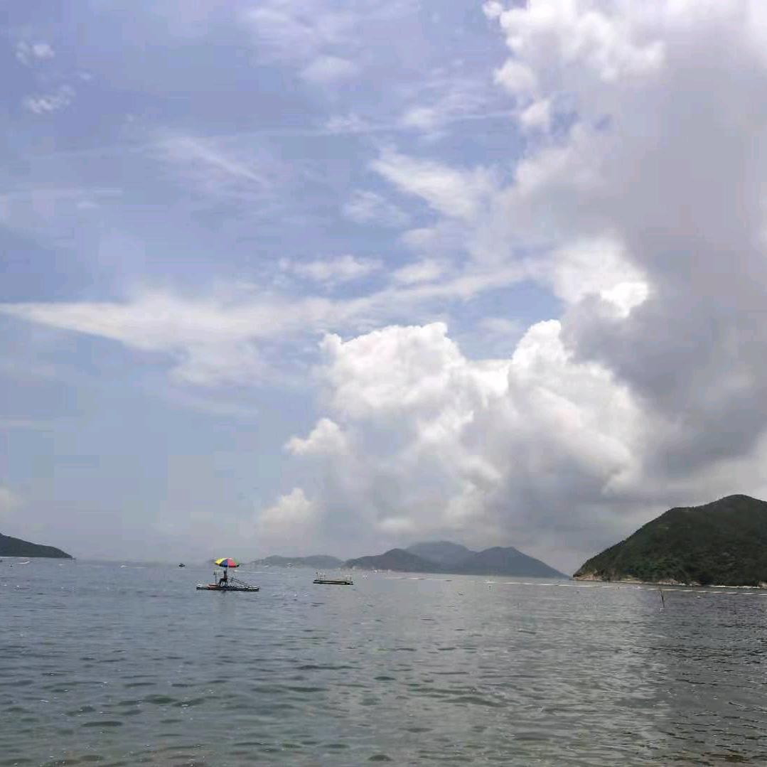 鸿知
