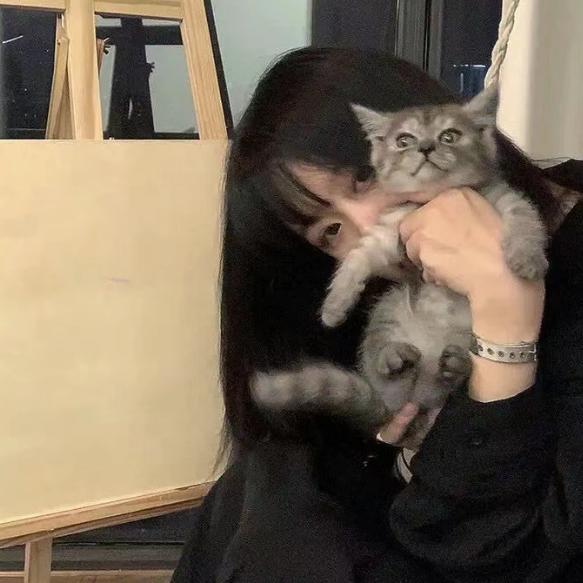 齐天大圣～路飞