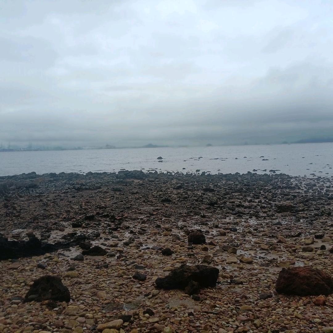 海廷⭐️心好⭐️