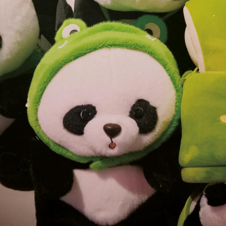 小白成长日记