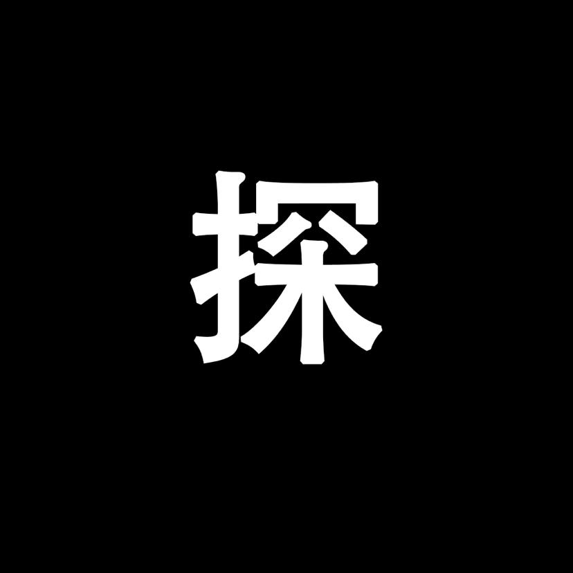 十二探长