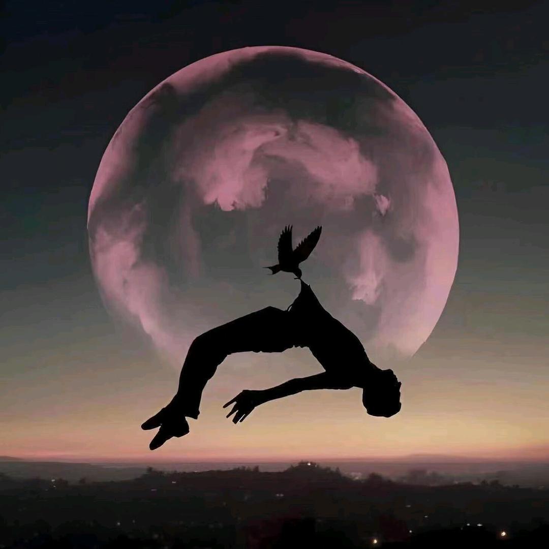 柏杨村福鼎白茶