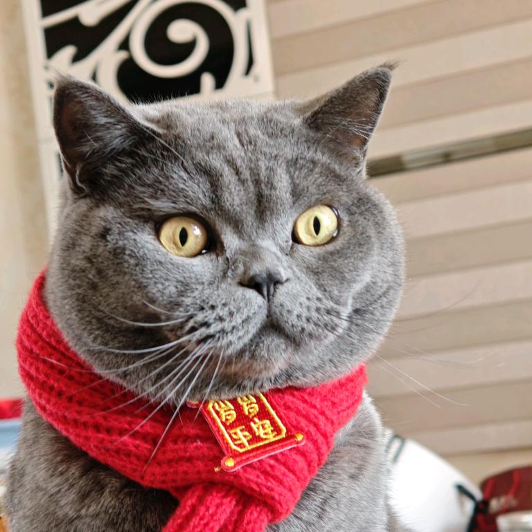 小🐎睡不着啦啦啦啦