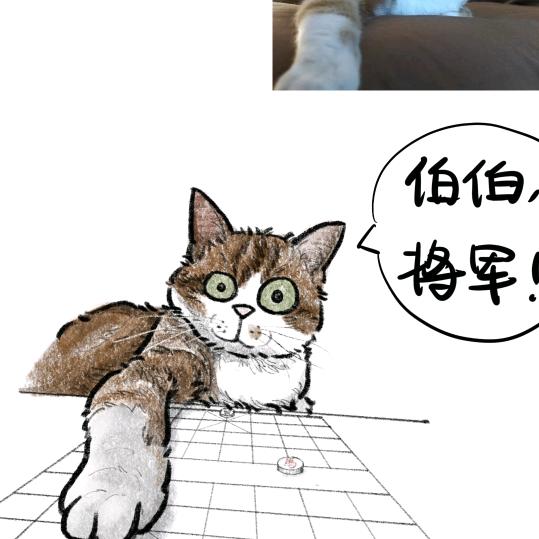 乐在棋中