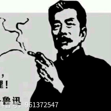 虫洞头像