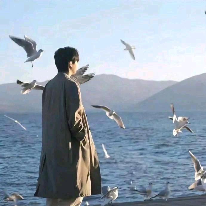 迷人的王子