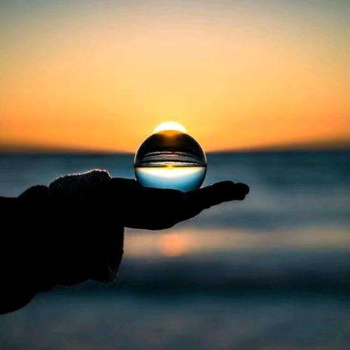 盈泽种植家庭农场草业