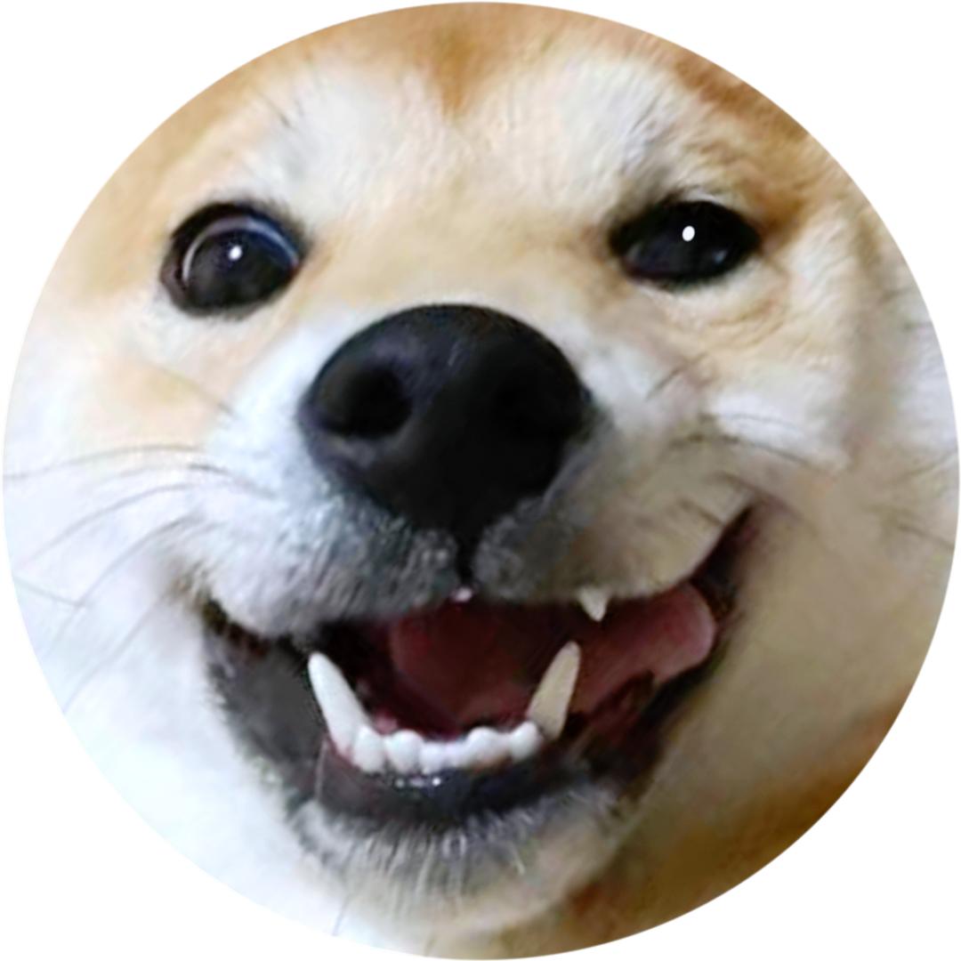 木木不木🐶