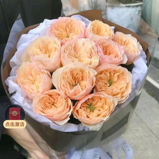 错位的遗憾，终究是牵挂