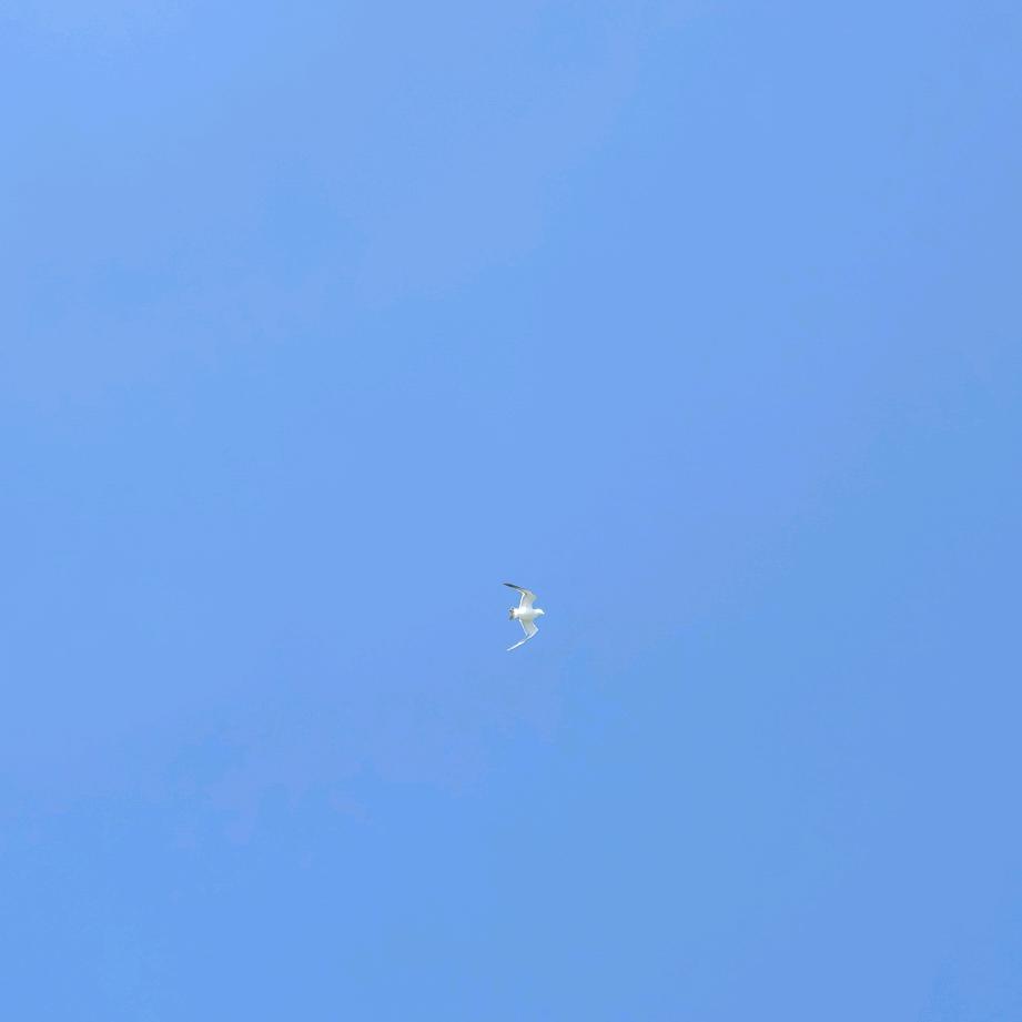 一天