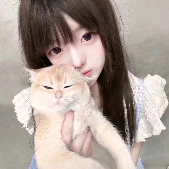 洛枳许什么愿🌱