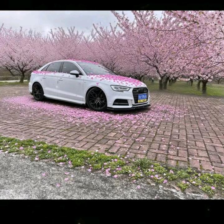 心碎誰来抚   (独来独往)