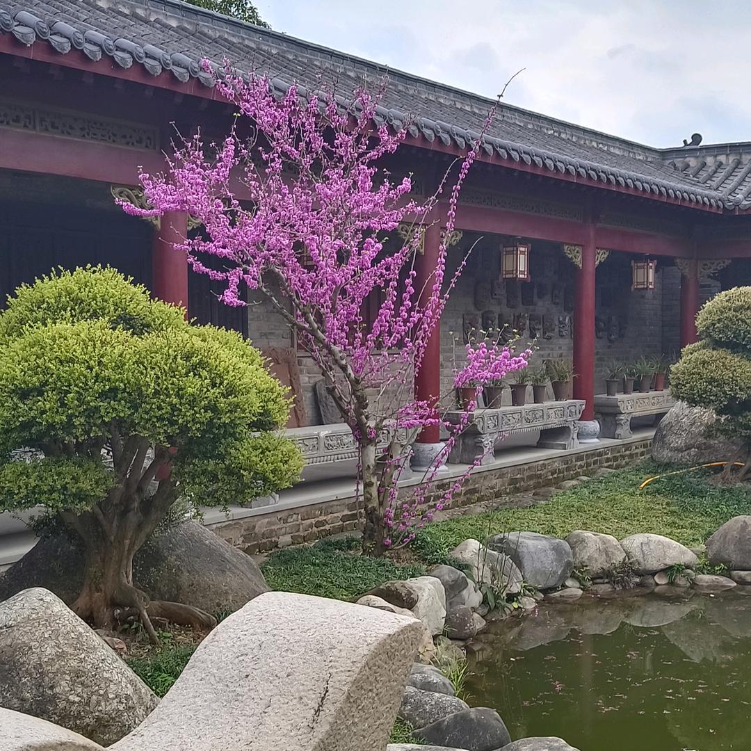 人生百味，谁能不累