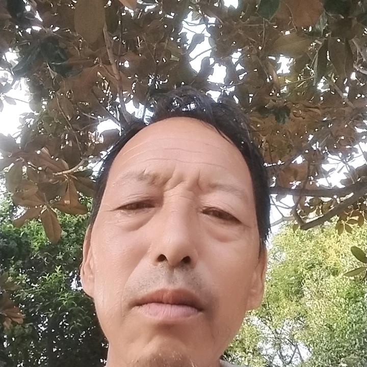 《专业批墙走》喜欢唱歌