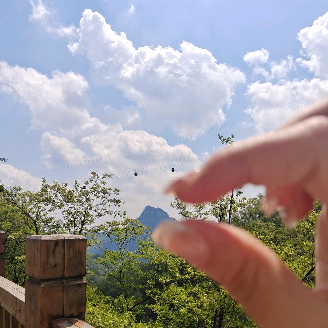 云游发呆熊