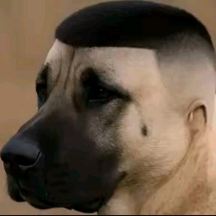 🌈look   look  dance