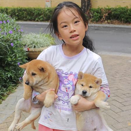 馨狗蛋