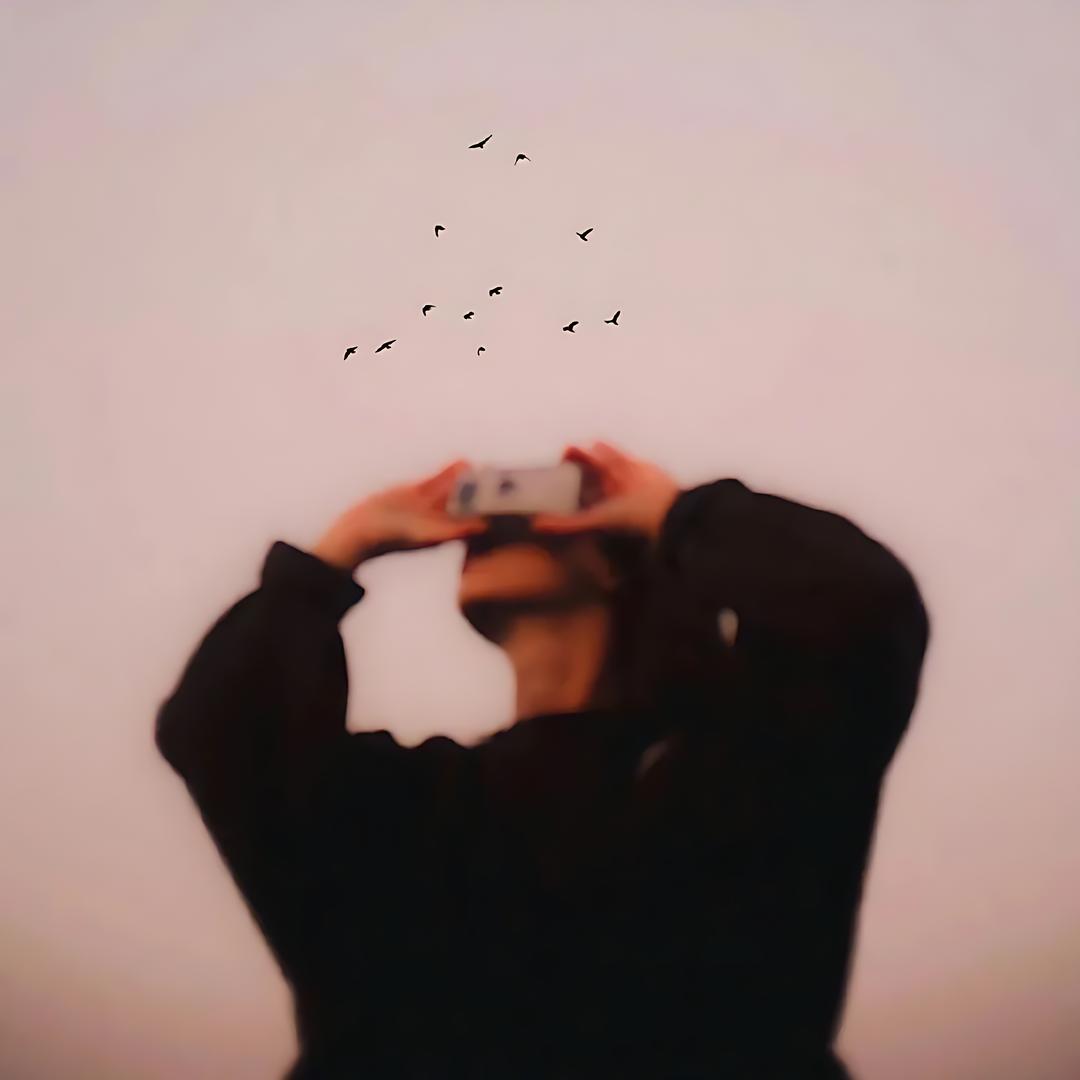 迟灶药丸