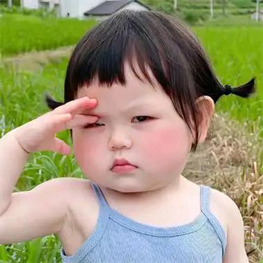 小朱哥🌱