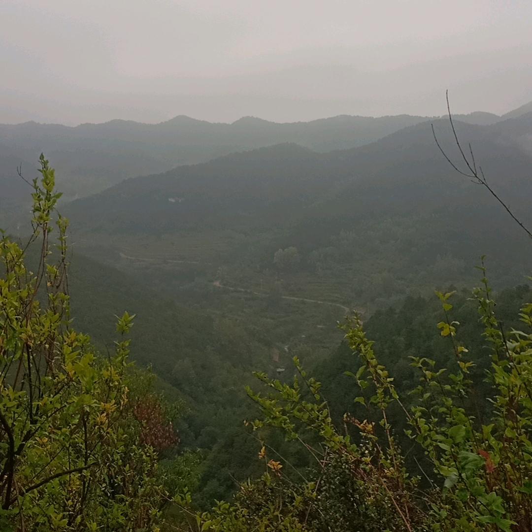 河南豪车养护中心