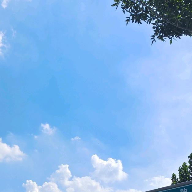 谷雨🔅