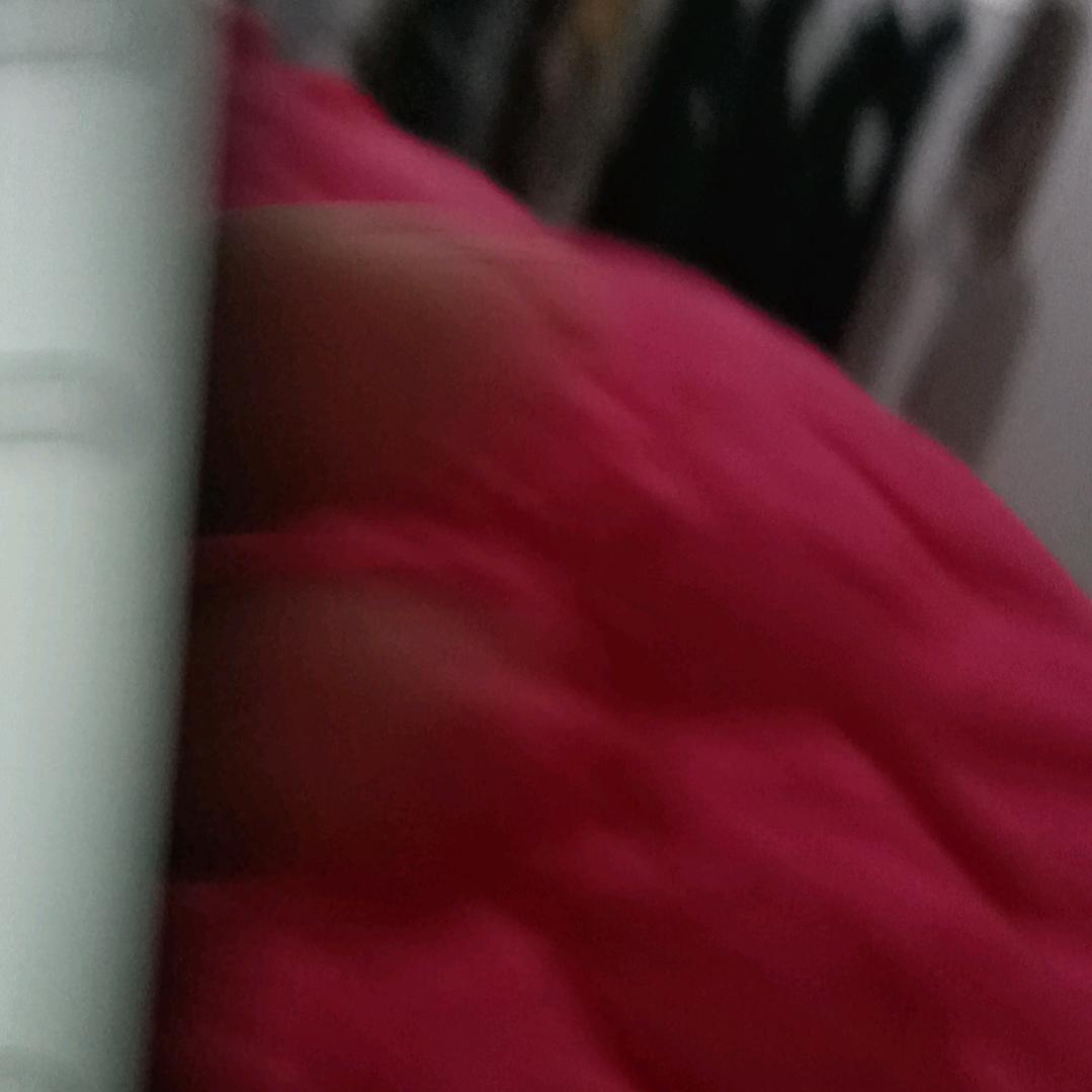 真心好累