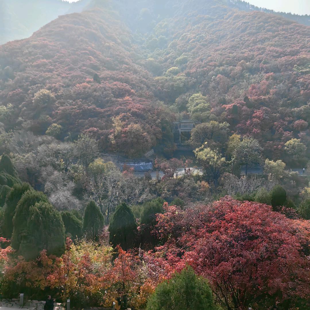 瑜伽小露姐