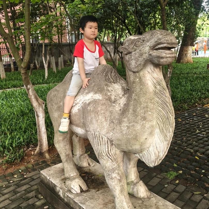 海口龙华区堵环汽车商行