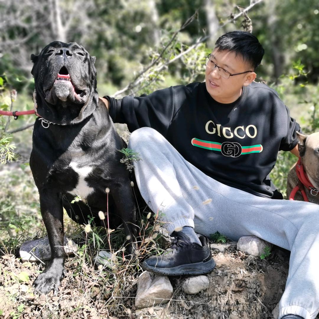 爱犬老五