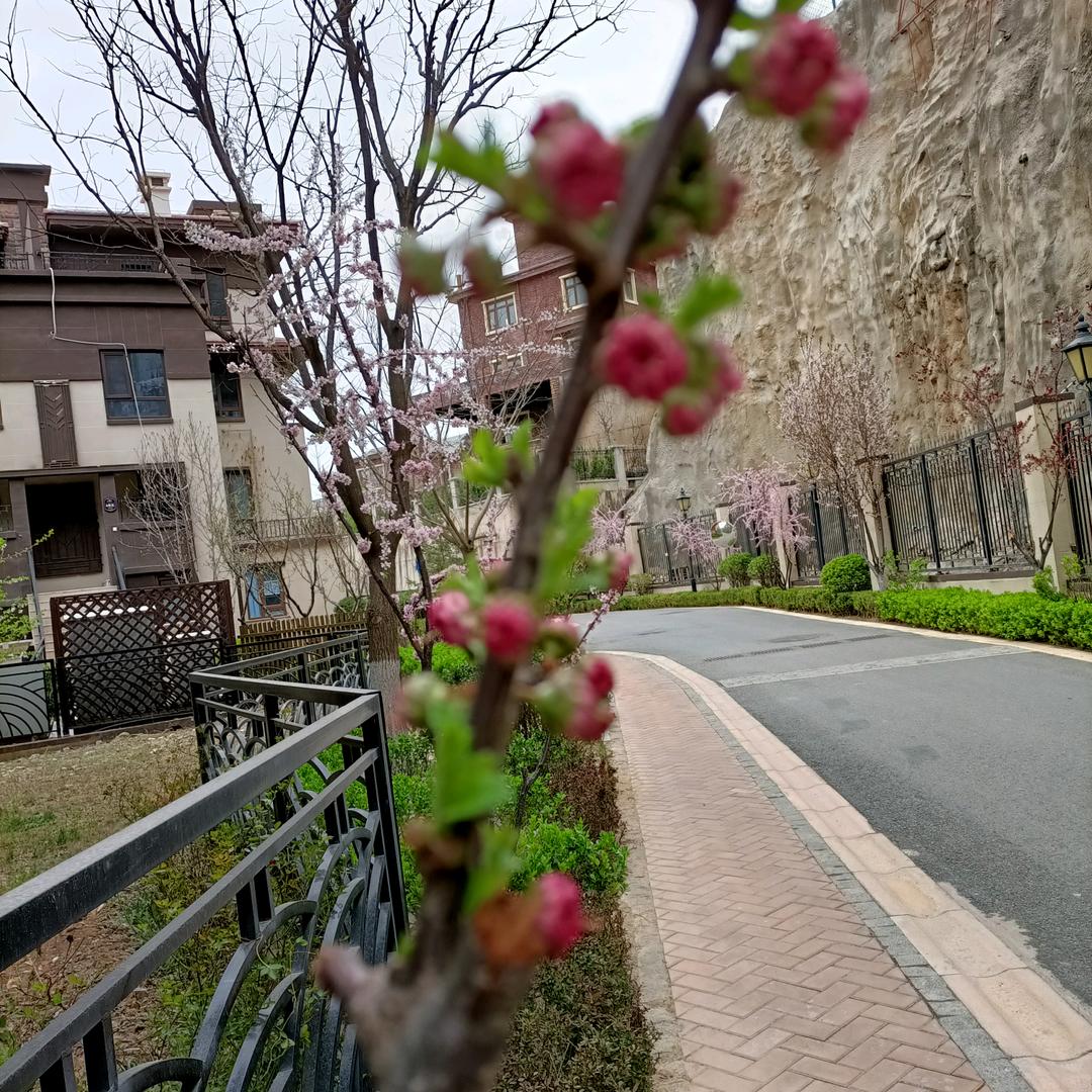和静