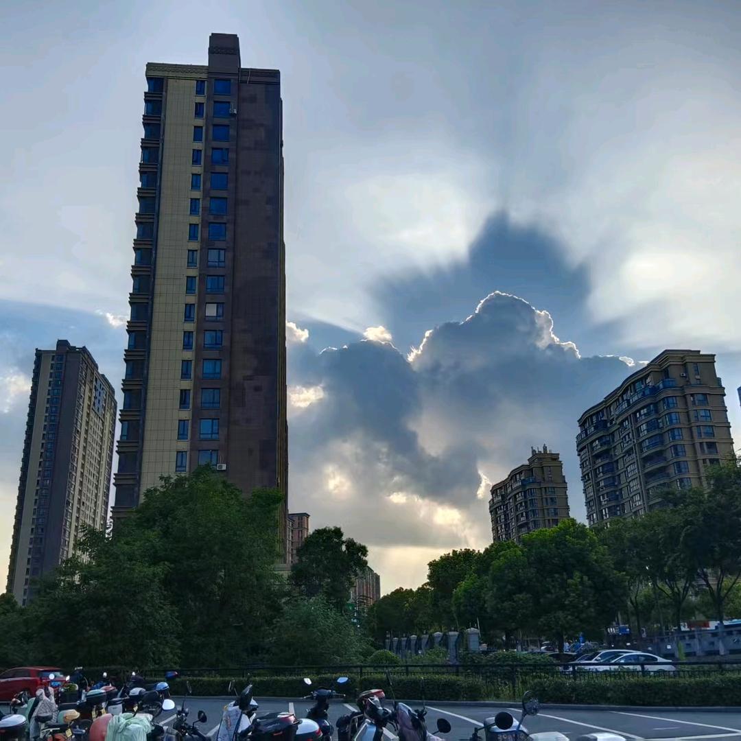 丰子头像