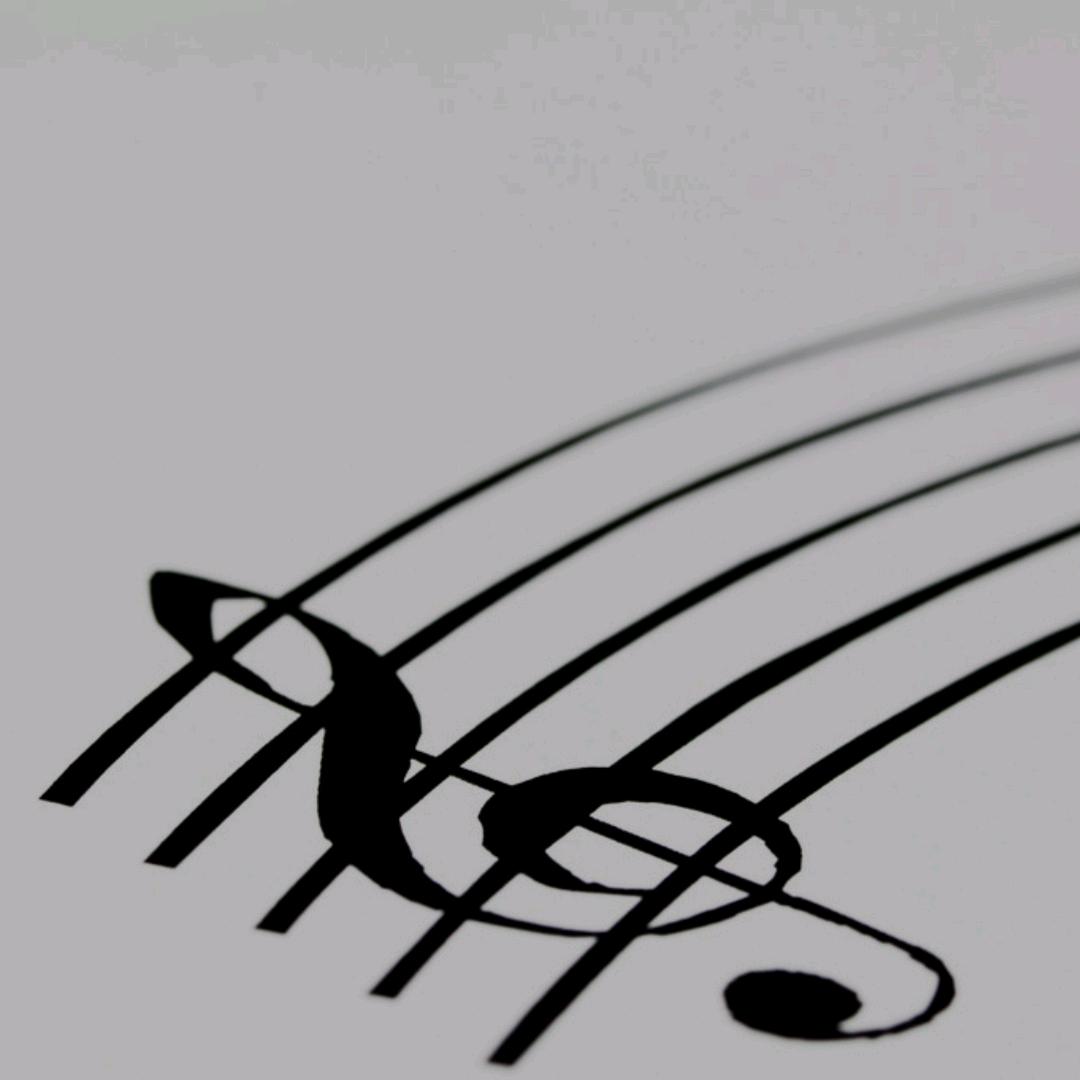 Do Re Mi 🎵音乐课