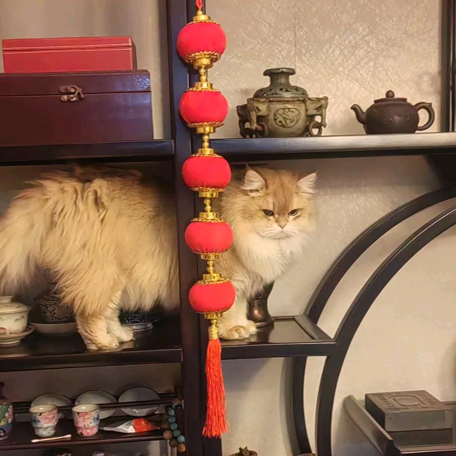 小幸运❤️