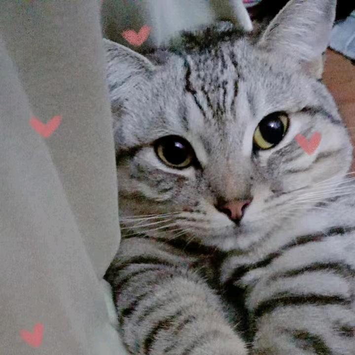 阿冯仔