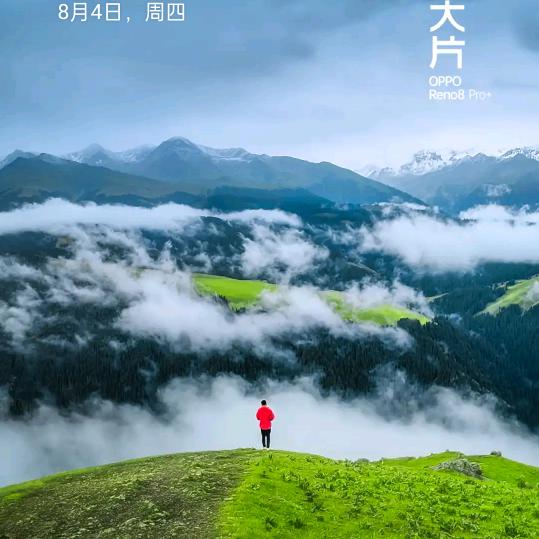 心语谁懂