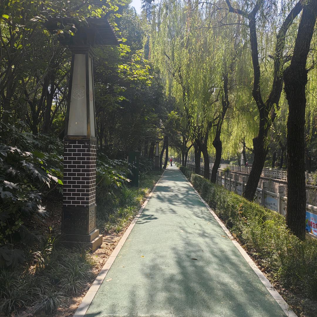 吴老师的工作室