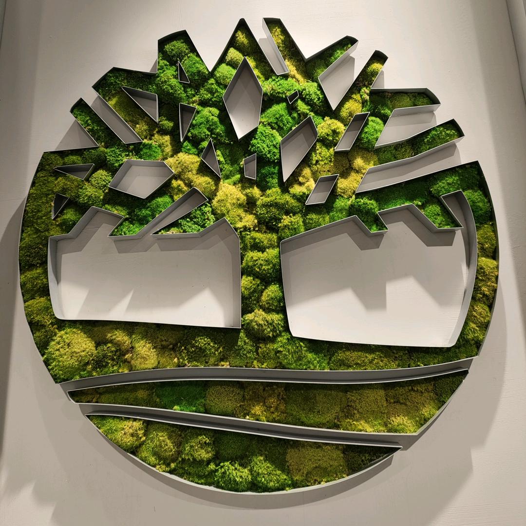 洛阳大卫天地添柏岚