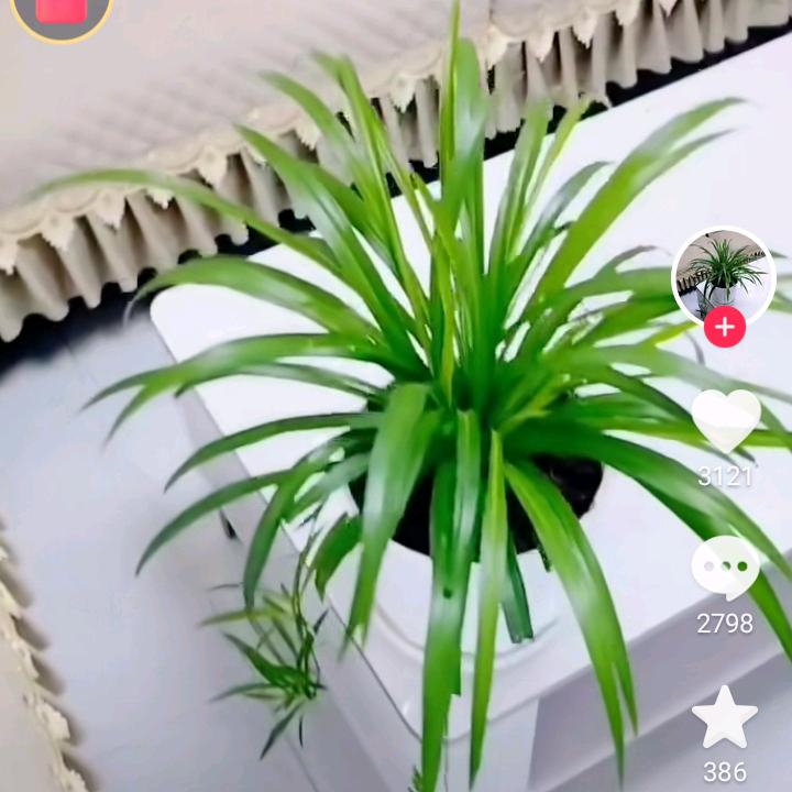 小雨点