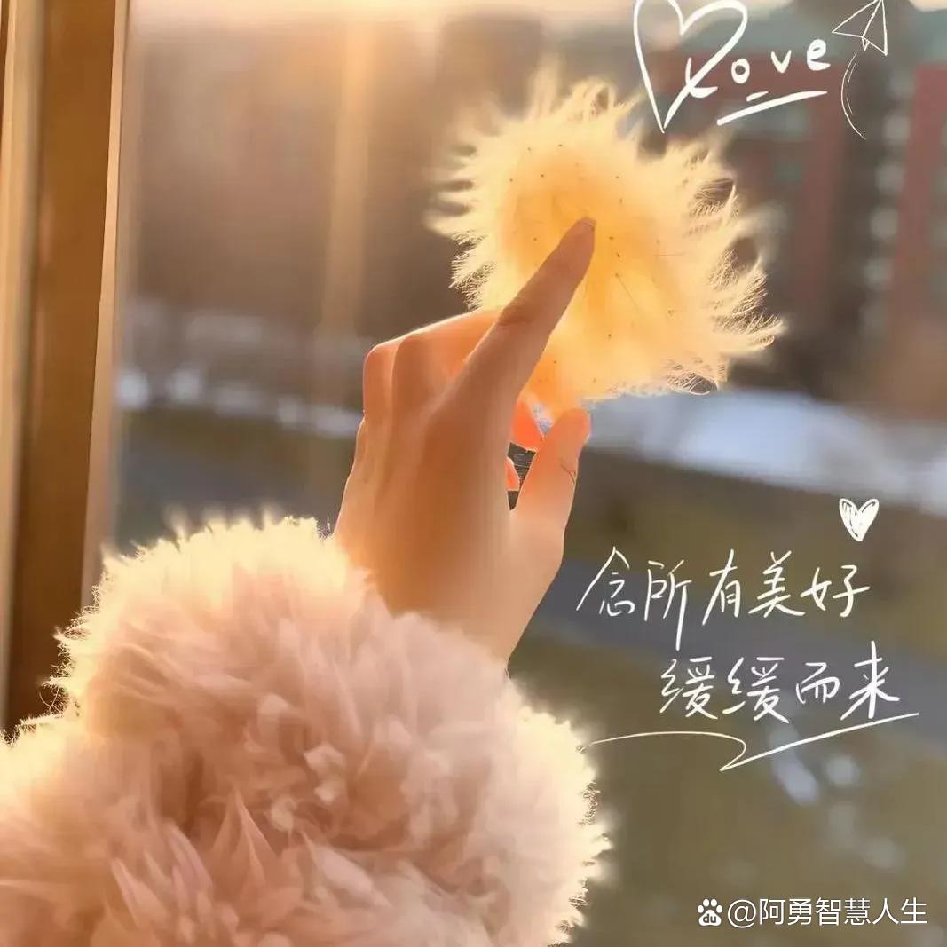 简简单单便是美～