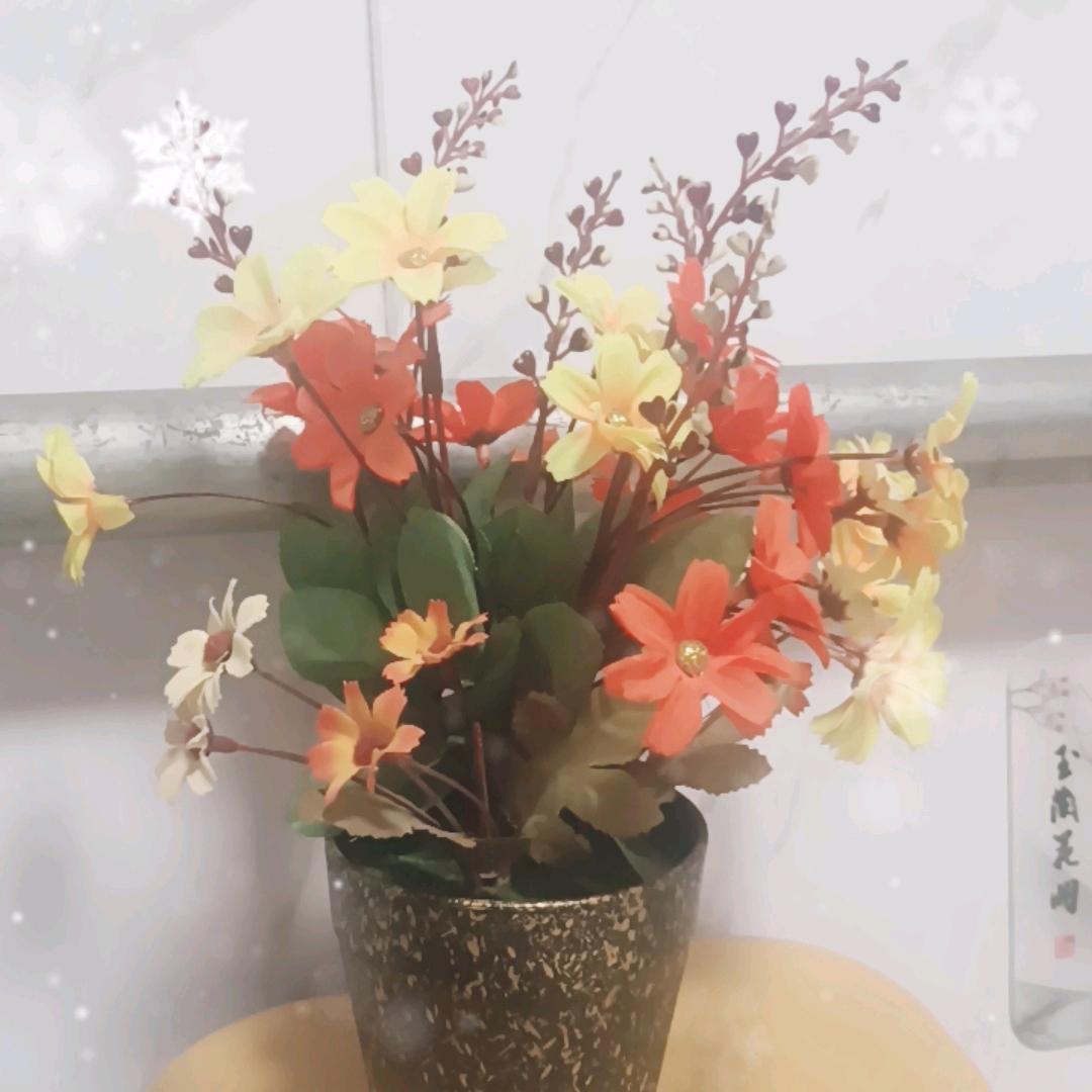 笨笨儿爸