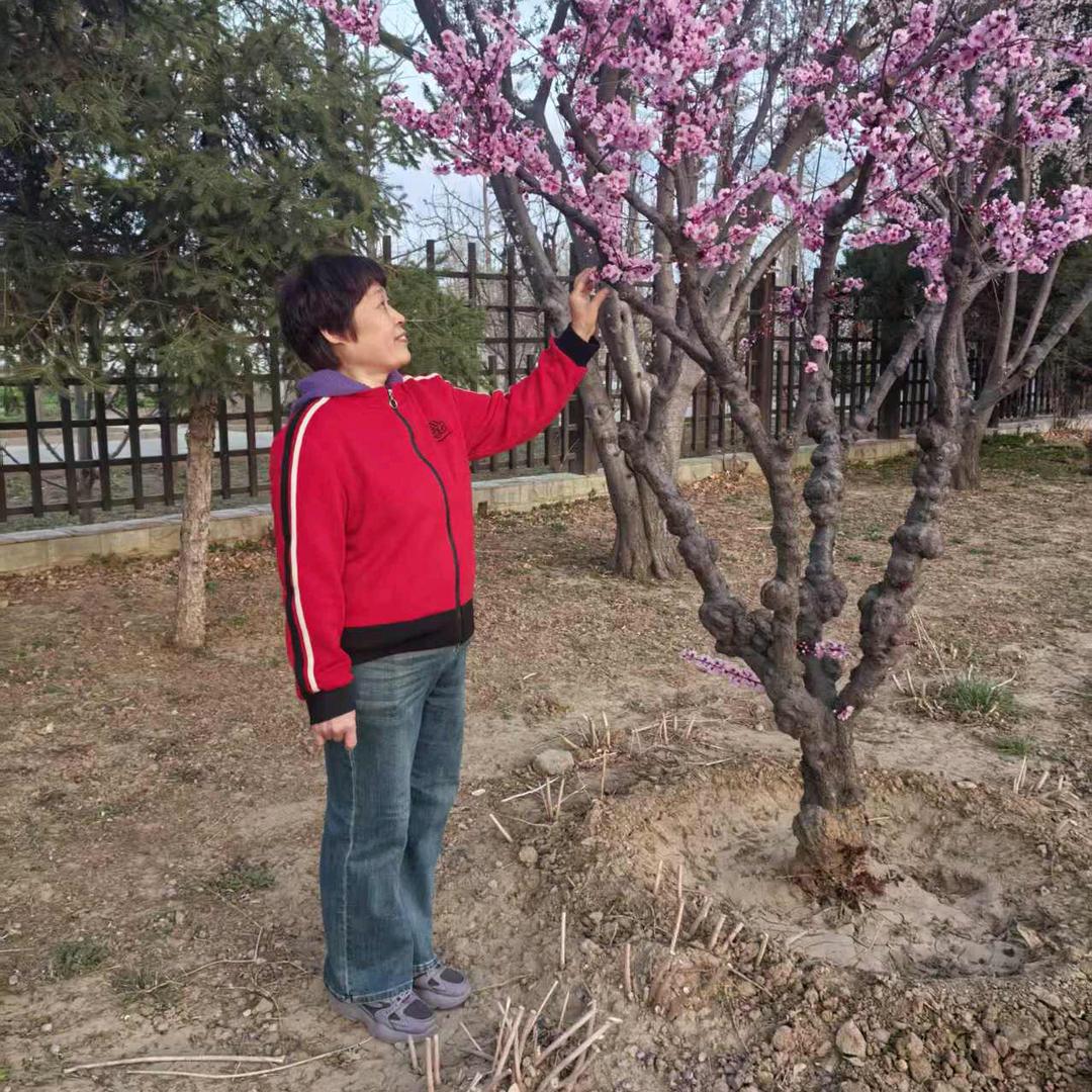 护李周全