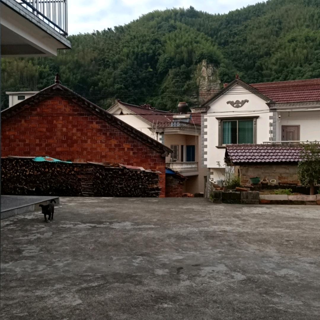 陈爷爷