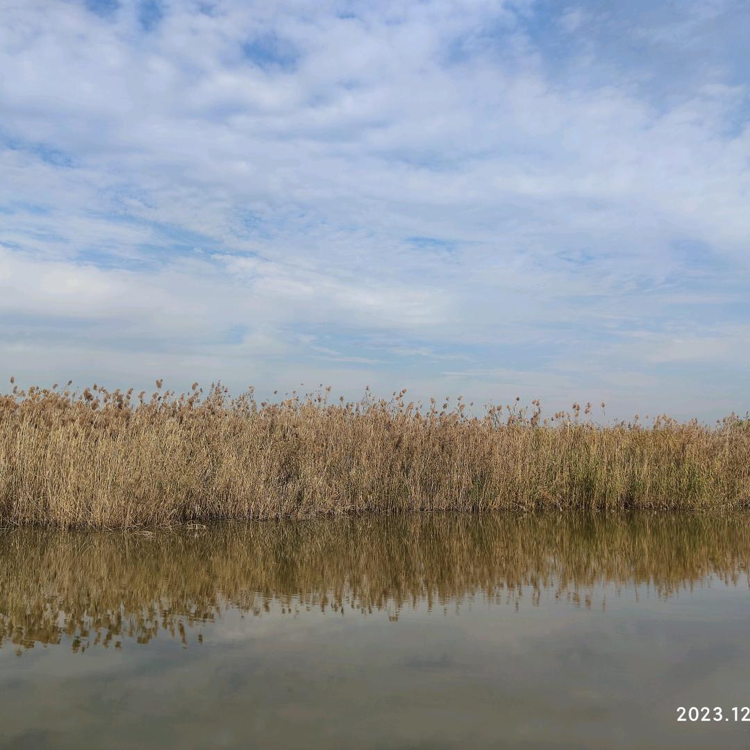 每天学习一点点