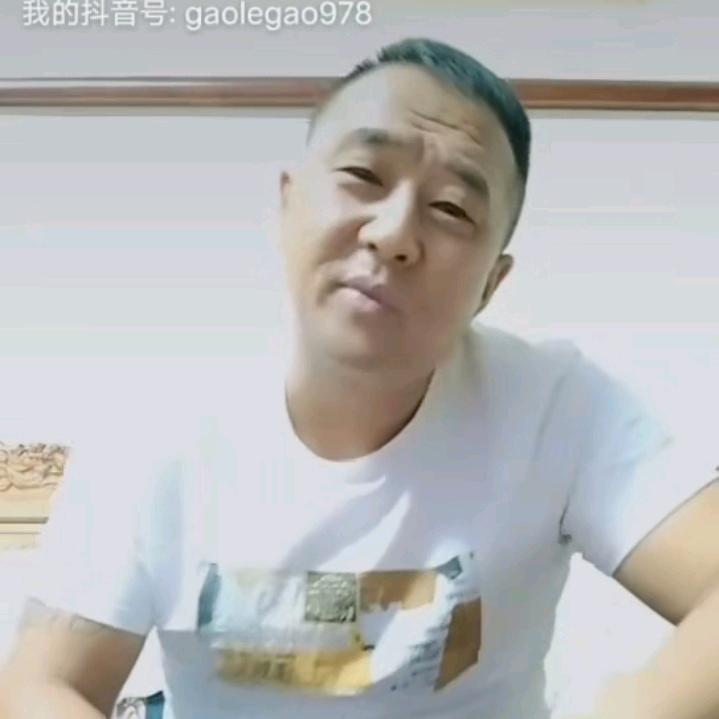 高乐高