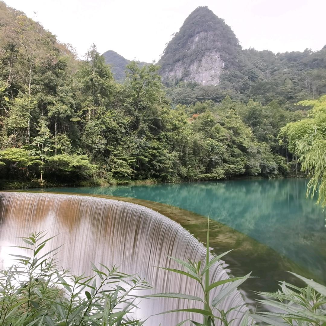 只因是我