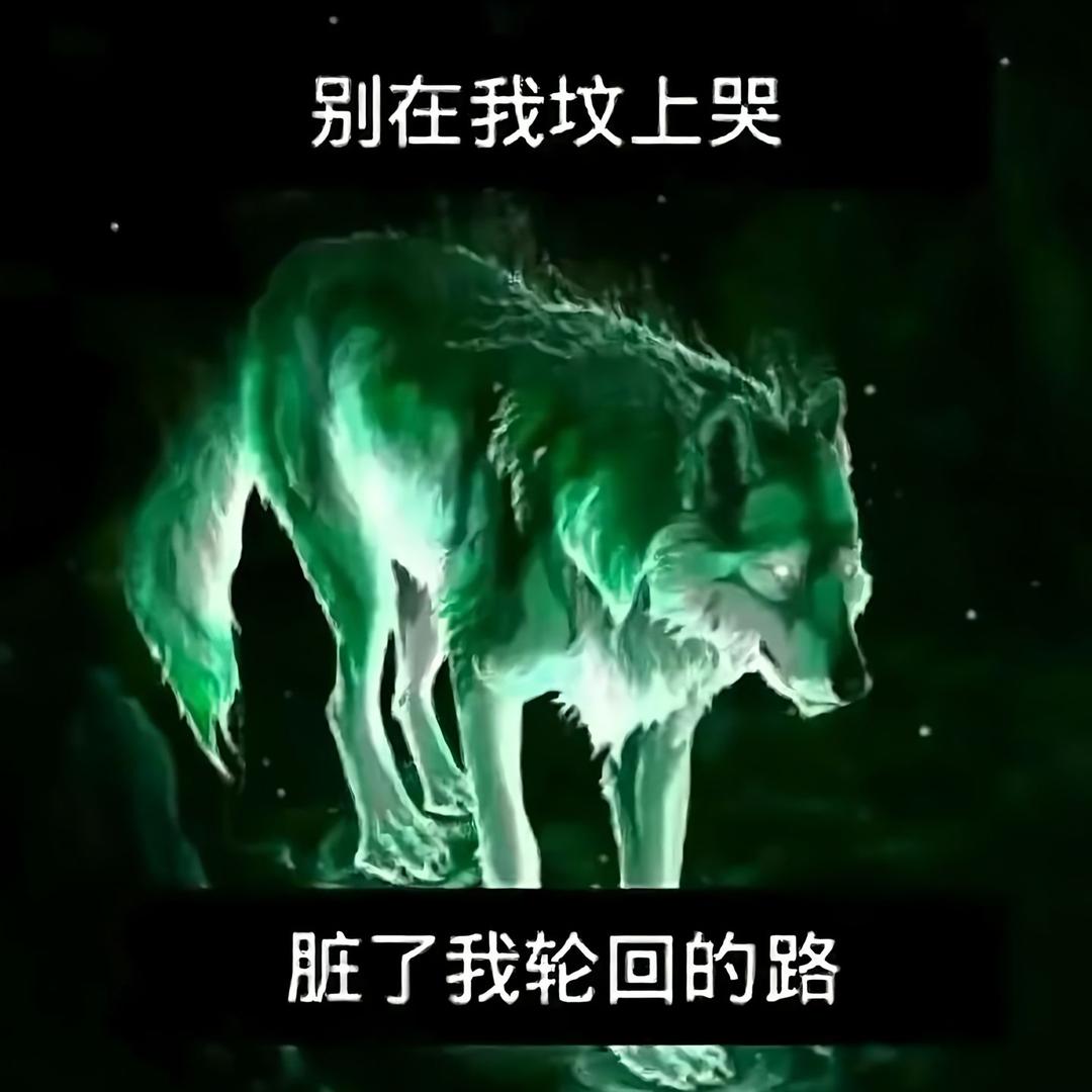 通体少年郎(庙城hiphop第一人)