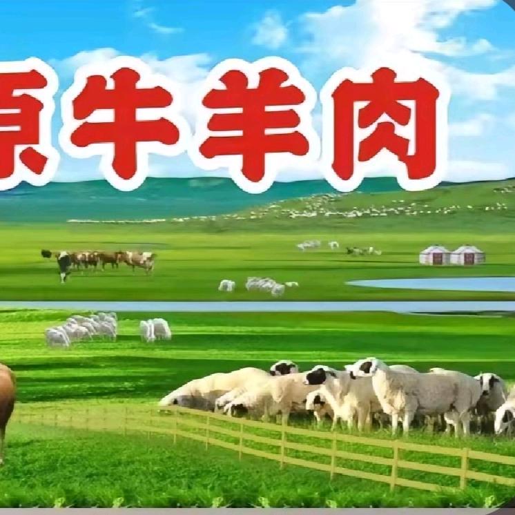 刘冲 万邦牛羊副