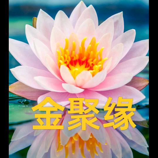 金聚缘