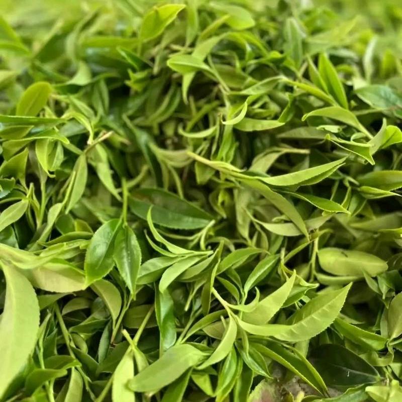 茶与时(❁´◡`❁)*✲ﾟ*凤凰单丛