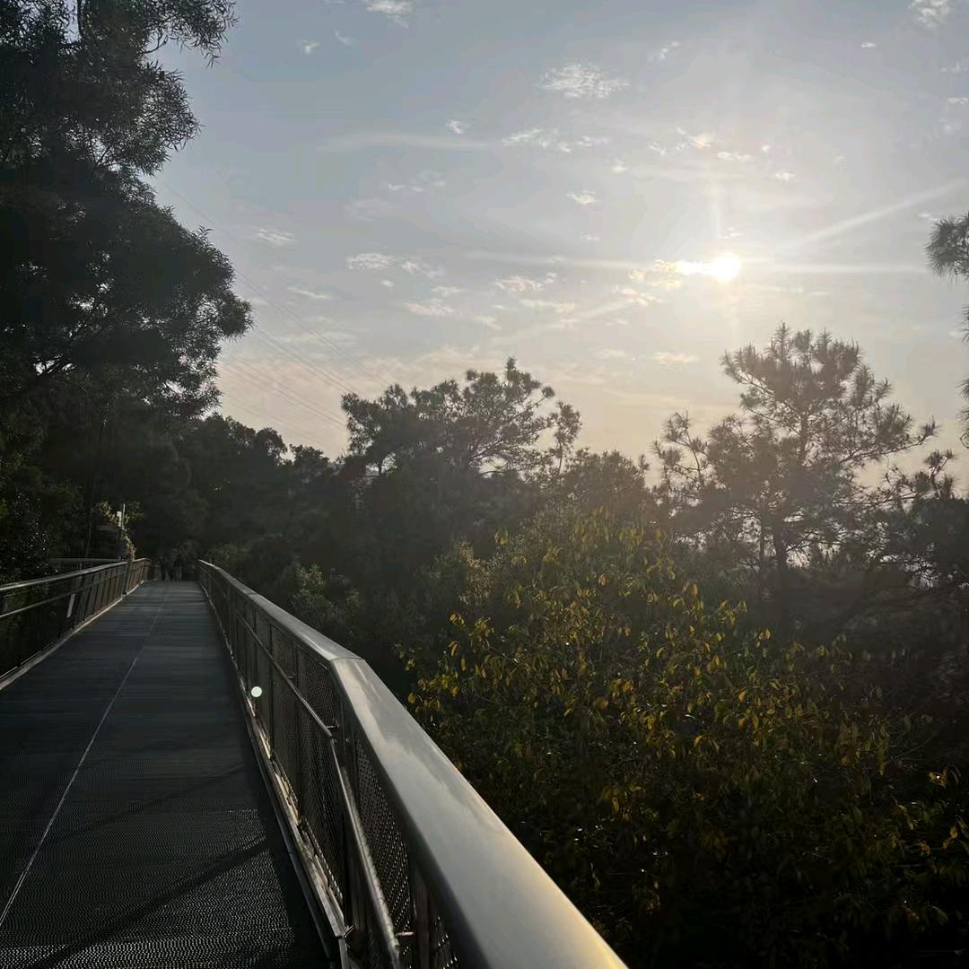 你懂得i